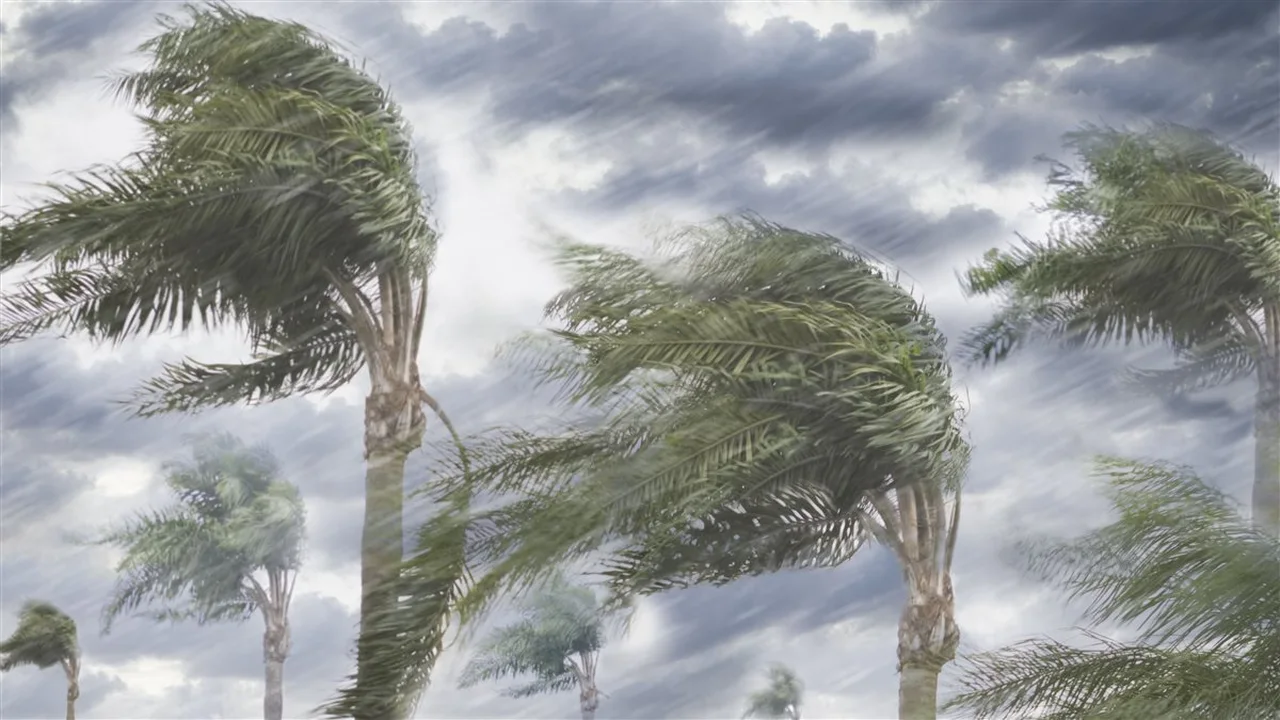 توقعات درجات الحرارة والظواهر الجوية في ثاني أيام عيد الفطر المبارك